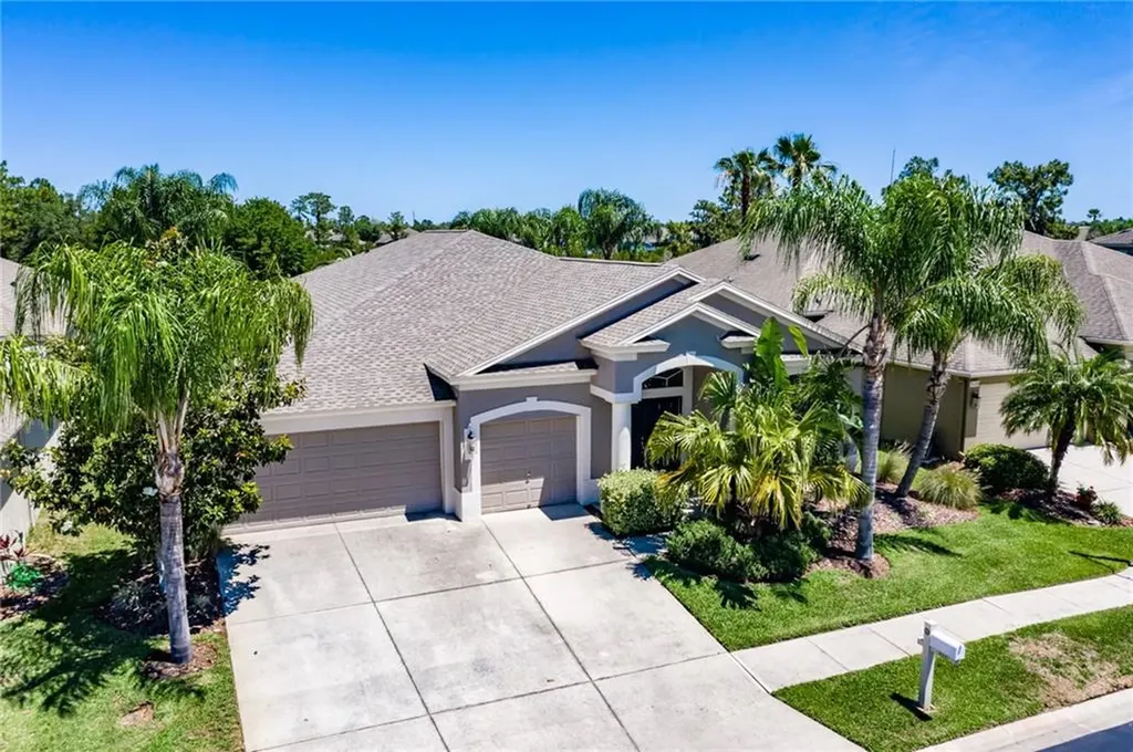 31117 Creekridge Drive Wesley Chapel FL 33543