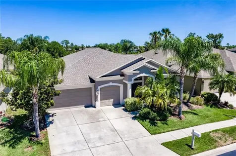 31117 Creekridge Drive Wesley Chapel FL 33543