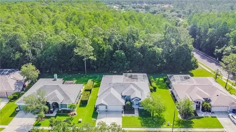 2619 Appaloosa Trail Palm Harbor FL 34685