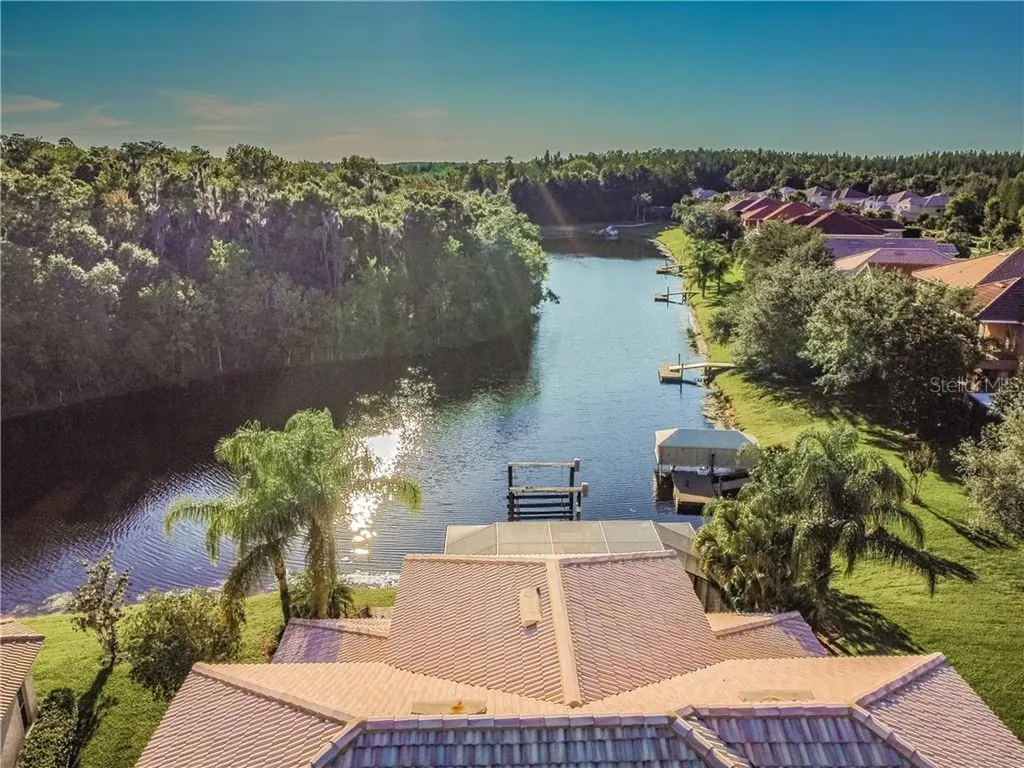 18056 Cozumel Isle Drive Tampa FL 33647