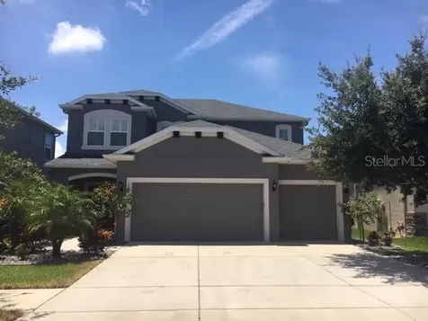 10442 Waterstone Drive Riverview FL 33578
