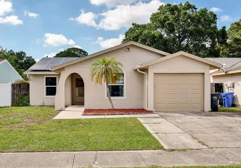 12344 Cloverstone Drive Tampa FL 33624