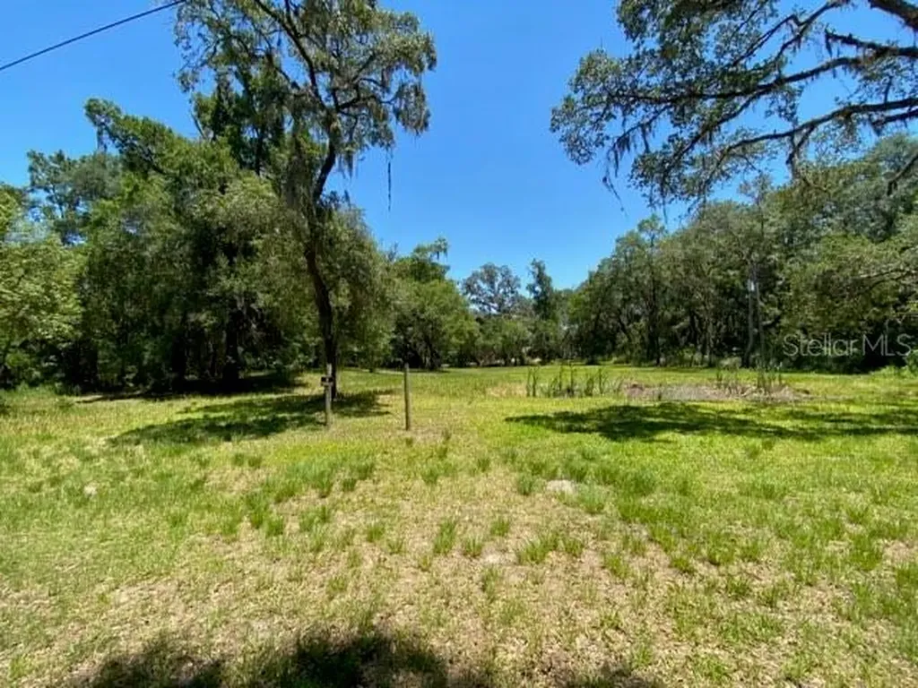 3022 Mazie Drive Zephyrhills FL 33541