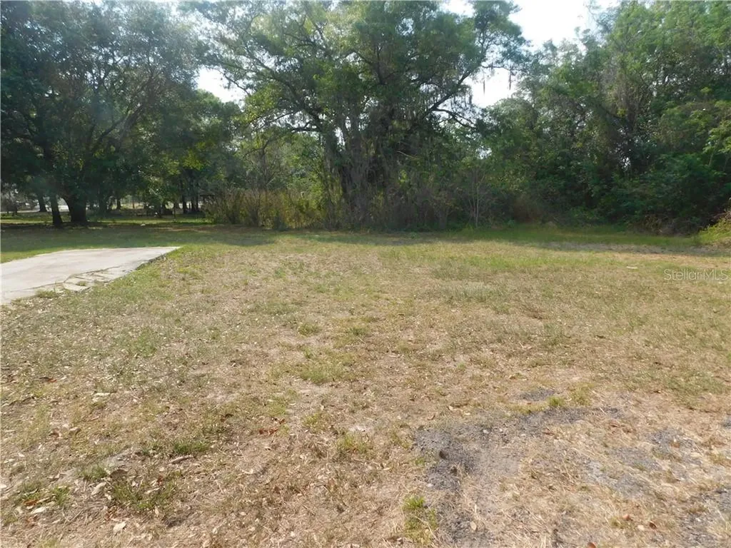 1580 Carolina Avenue Mulberry FL 33860
