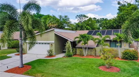 8305 Palma Vista Lane Tampa FL 33614