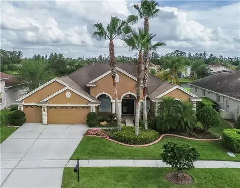 27102 Winged Elm Drive Wesley Chapel FL 33544