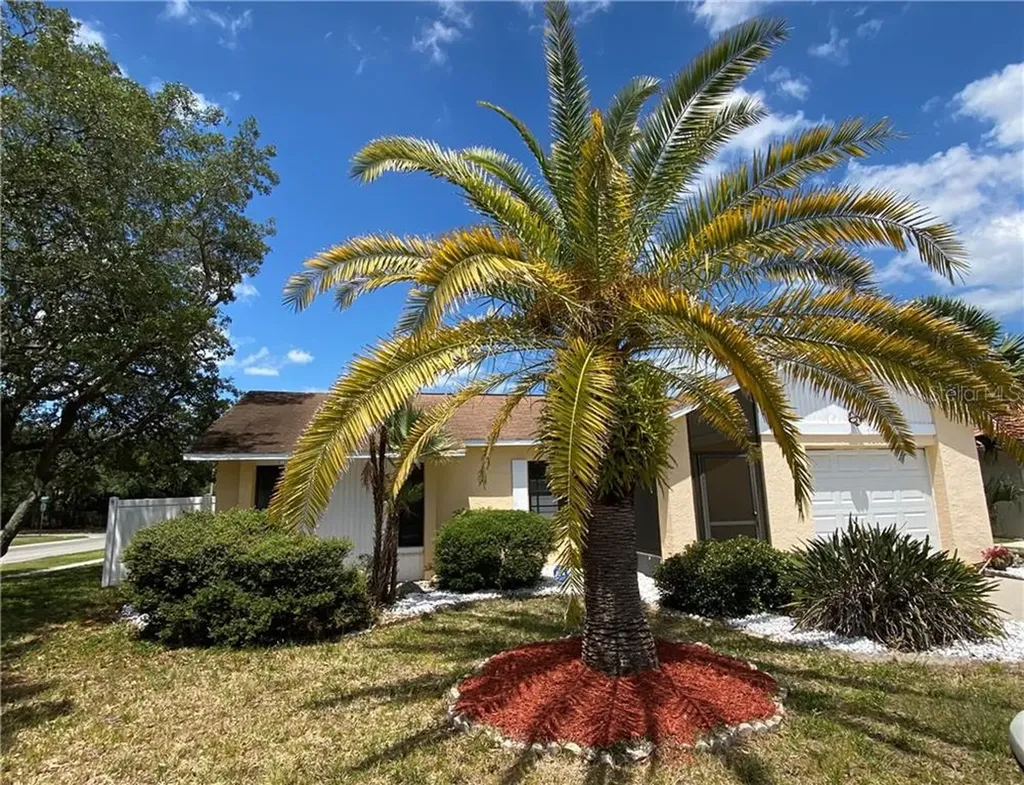 1225 Jambalana Drive Holiday FL 34691