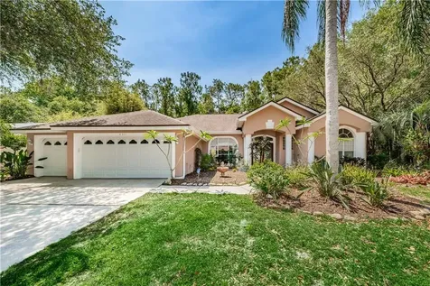2511 Appaloosa Trail Palm Harbor FL 34685