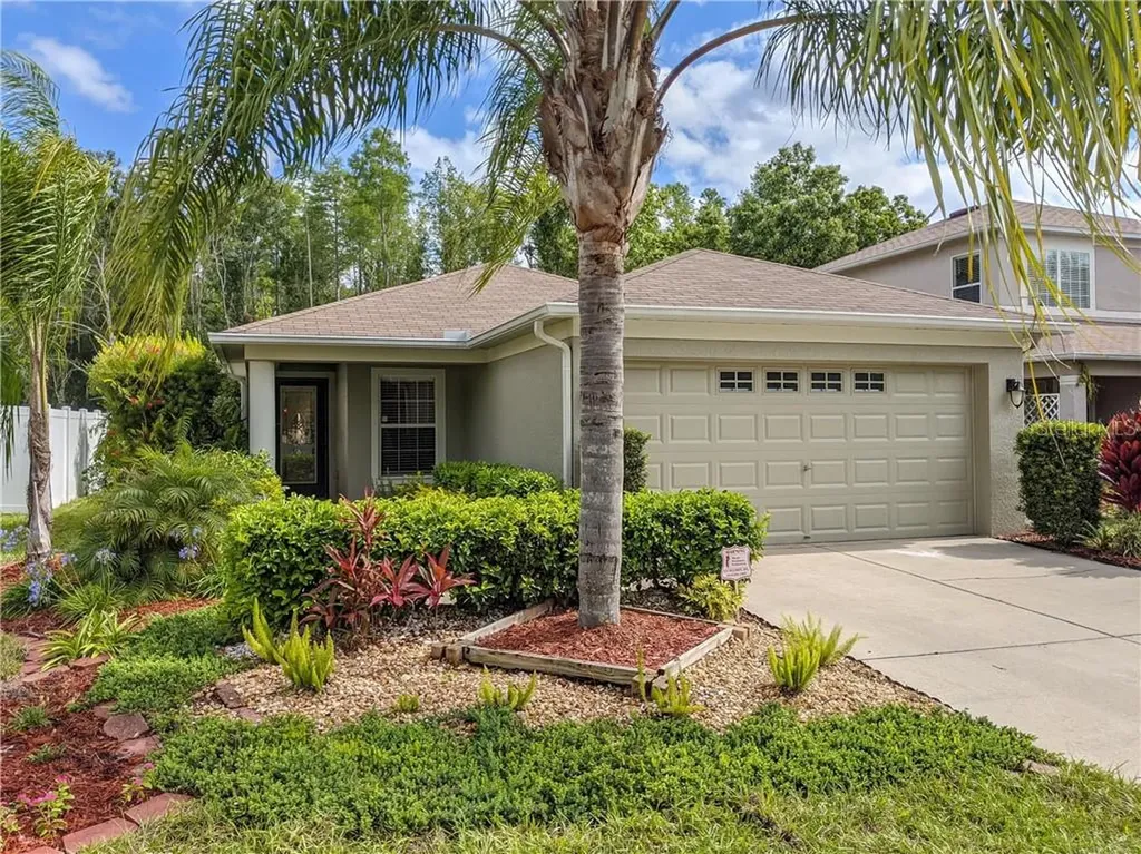 18251 Kentisbury Court Land O Lakes FL 34638