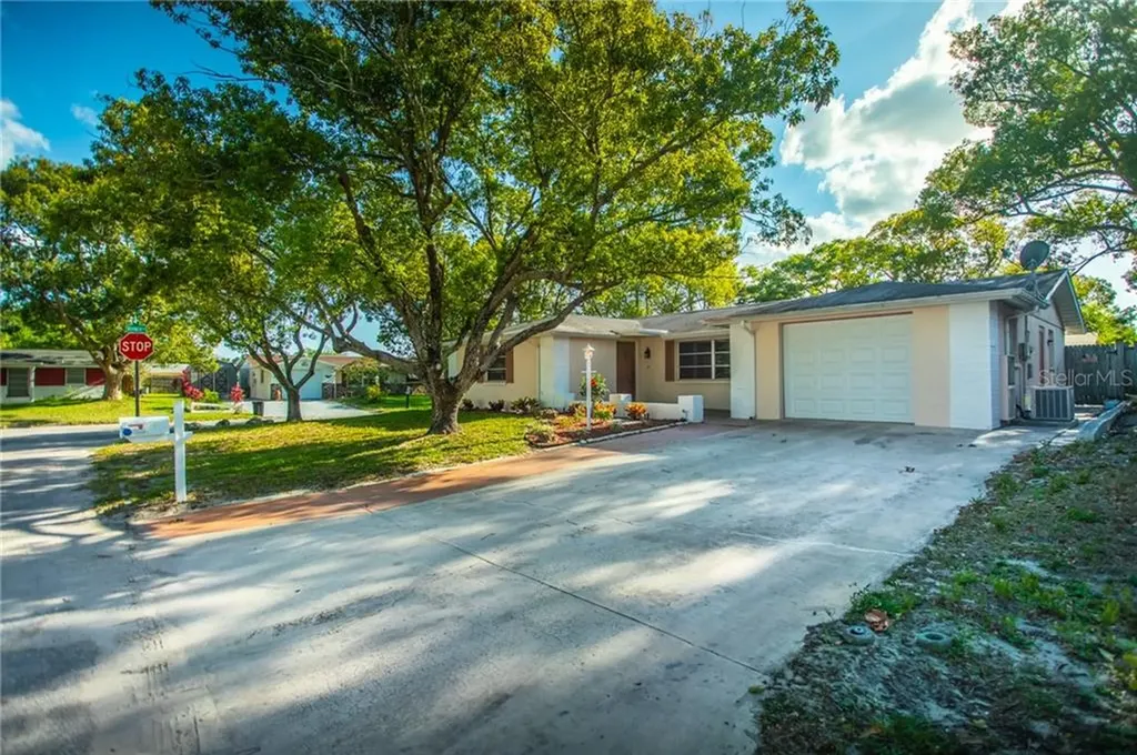 11201 Rhonda Avenue Port Richey FL 34668
