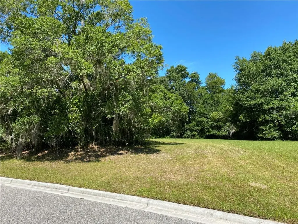 17044 Comunidad De Avila Lutz FL 33548
