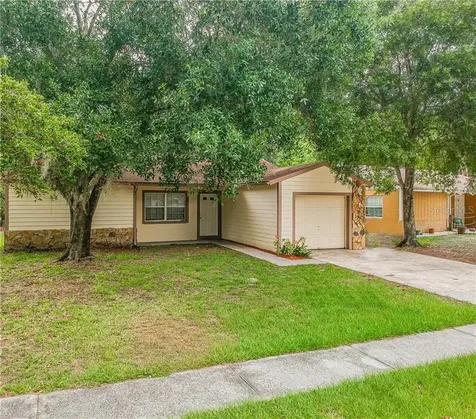 13906 Basin Street Tampa FL 33625