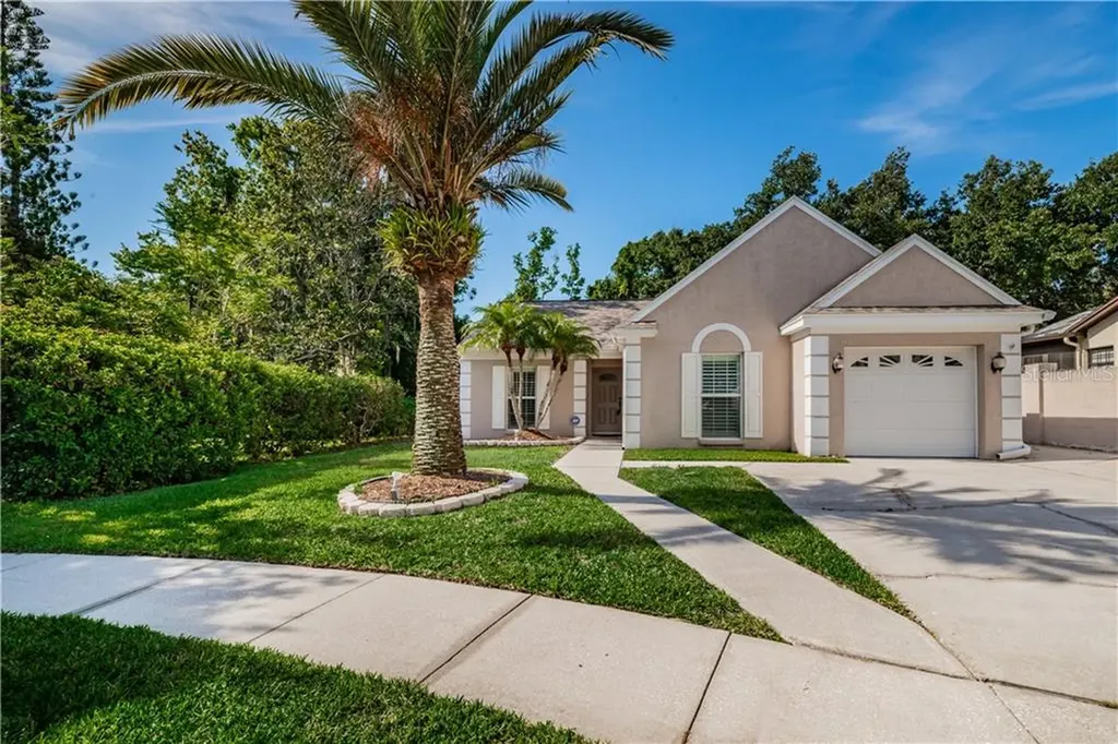 3600 Fremantle Drive Palm Harbor FL 34684