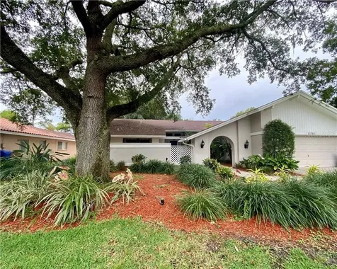11705 Rolling Oaks Lane Tampa FL 33618