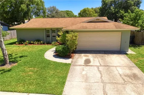 14133 Arbor Hills Road Tampa FL 33625