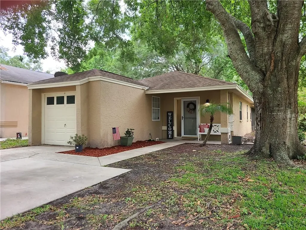 4419 Longshore Drive Land O Lakes FL 34639