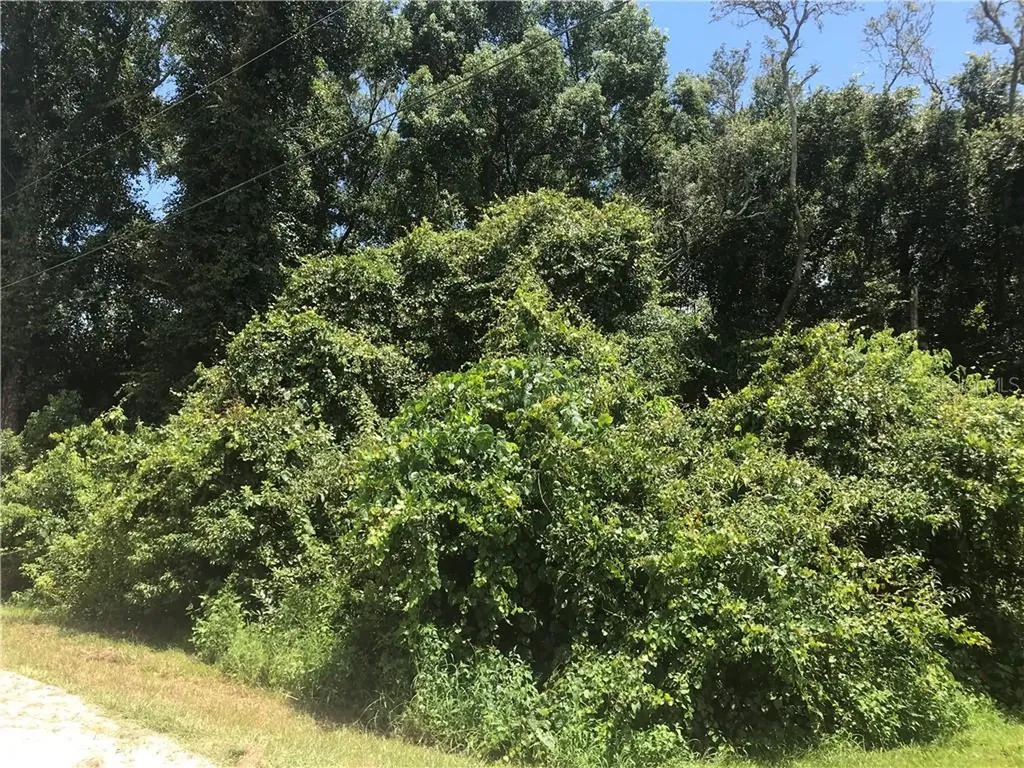 1350 2nd Street Orange City FL 32763