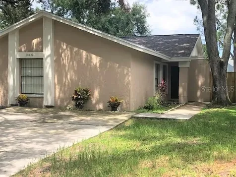 10442 Rosemount Drive Tampa FL 33624