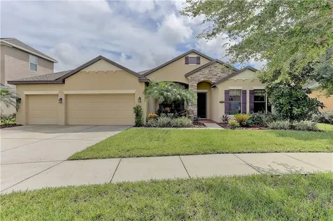 19210 Climbing Aster Drive Tampa FL 33647