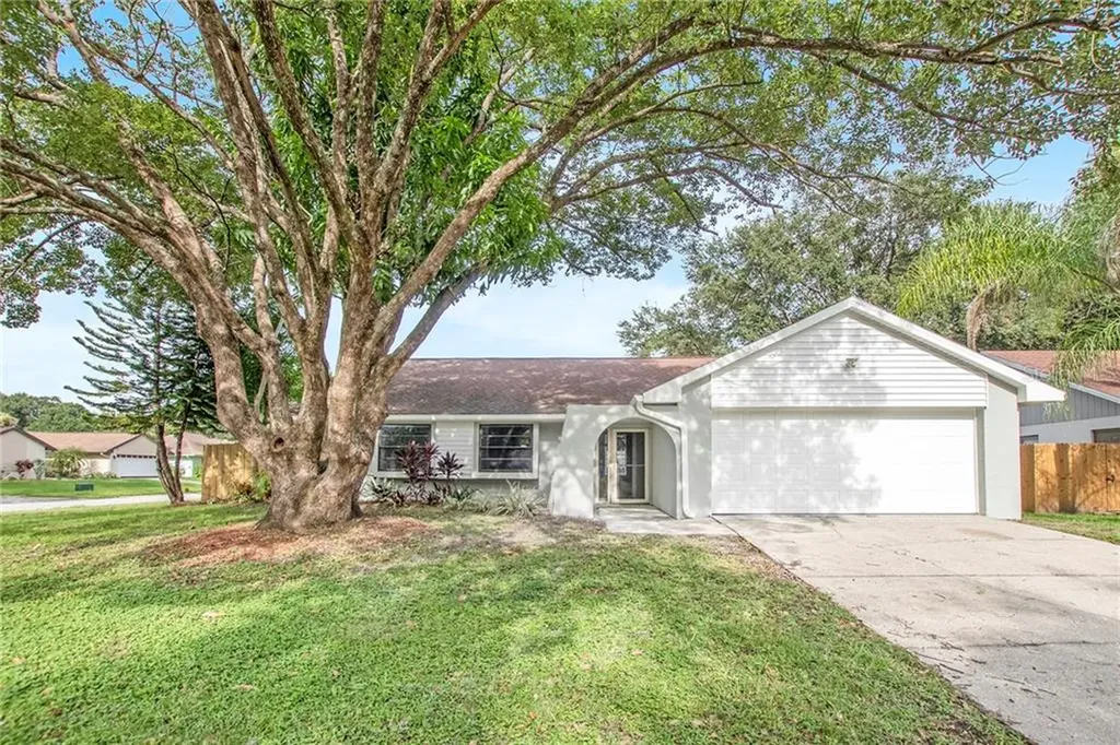 15011 Naples Place Tampa FL 33624