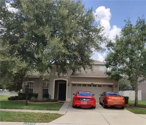 18305 Dajana Avenue Land O Lakes FL 34638