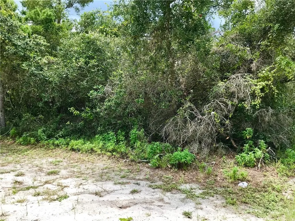 3121 Courtland Boulevard Deltona FL 32738