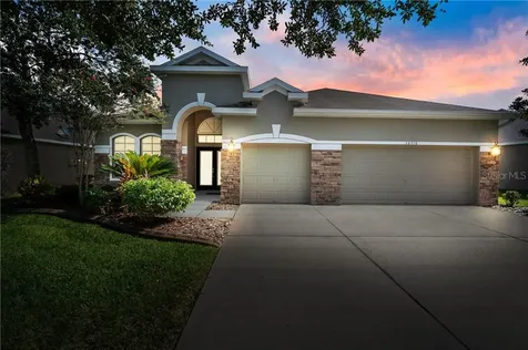 16310 Bridgewalk Drive Lithia FL 33547