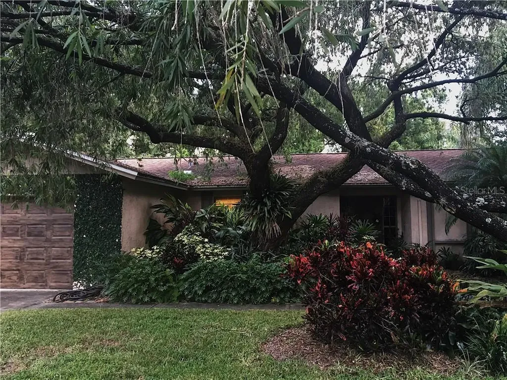 817 Ambassador Loop Tampa FL 33613