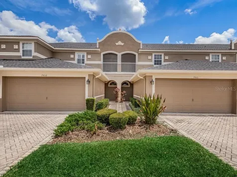 7458 Terrace River Drive Temple Terrace FL 33637