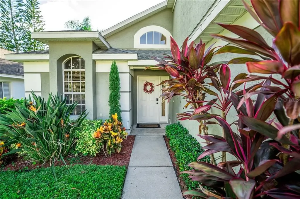 8604 Manassas Road Tampa FL 33635