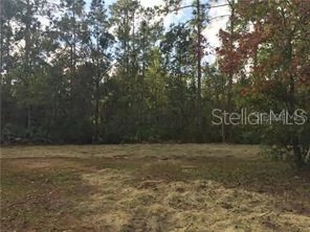 2018 8th Street Orlando FL 32820