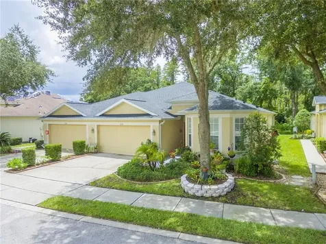 8530 Acorn Ridge Court Tampa FL 33625