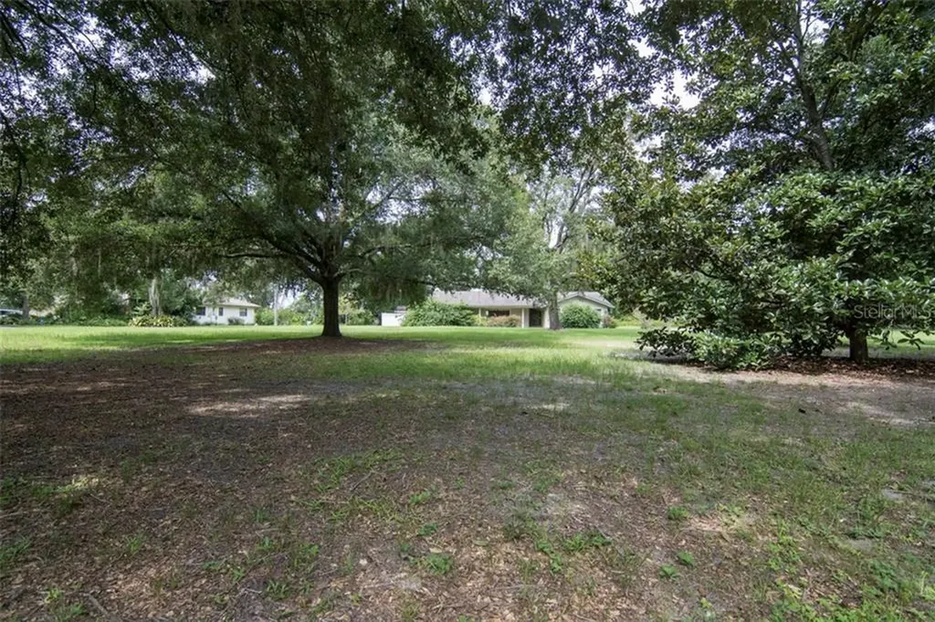 3702 Lake Buynak Road Windermere FL 34786