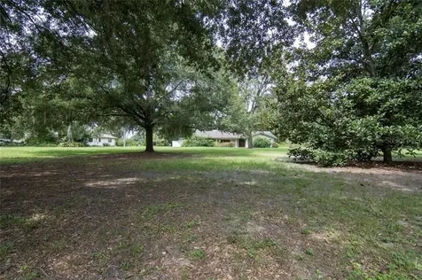 3702 Lake Buynak Road Windermere FL 34786