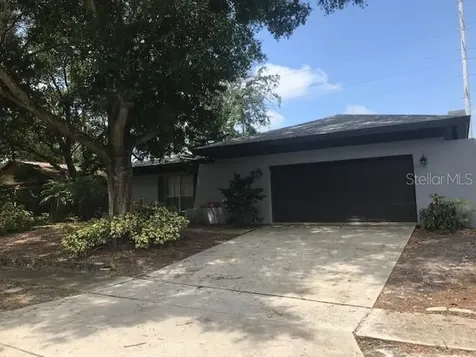 2448 Grove Ridge Drive Palm Harbor FL 34683