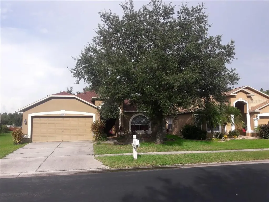 31105 Chatterly Drive Wesley Chapel FL 33543