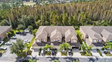 18134 Nassau Point Drive Tampa FL 33647
