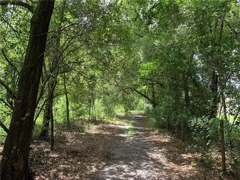 7014 Sadler Road Mount Dora FL 32757