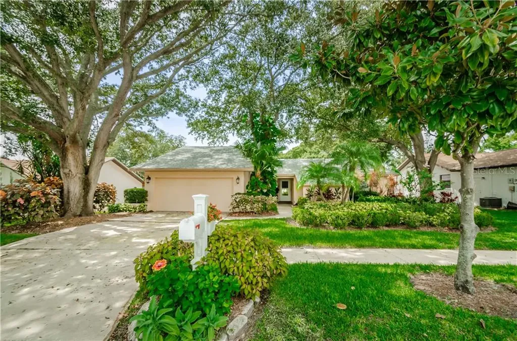 4815 Orange Grove Way Palm Harbor FL 34684