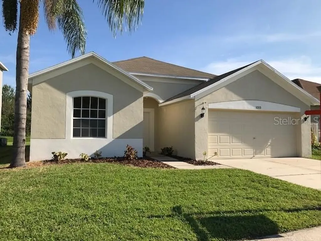 11313 Village Brook Drive Riverview FL 33579