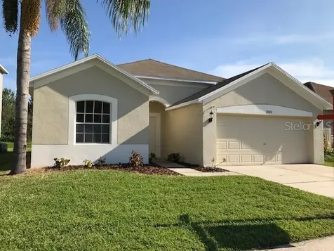 11313 Village Brook Drive Riverview FL 33579