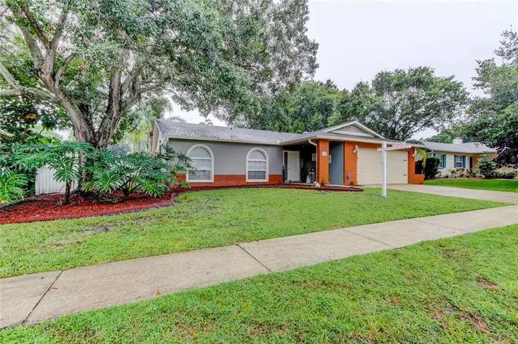 214 Lotus Drive Safety Harbor FL 34695
