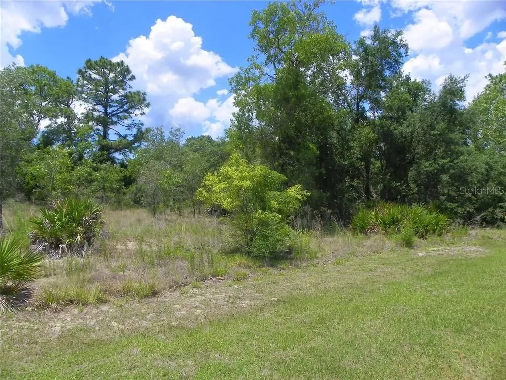 11023 Flicker Road Brooksville FL 34613