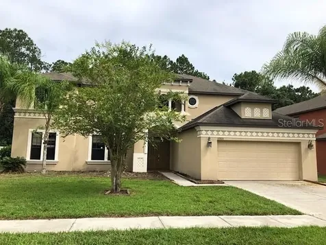 10806 Rain Lilly Pass Land O Lakes FL 34638