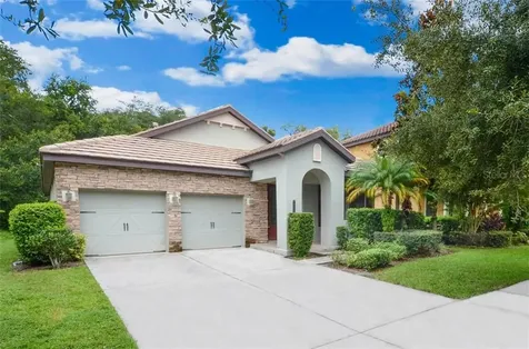 20334 Chestnut Grove Drive Tampa FL 33647