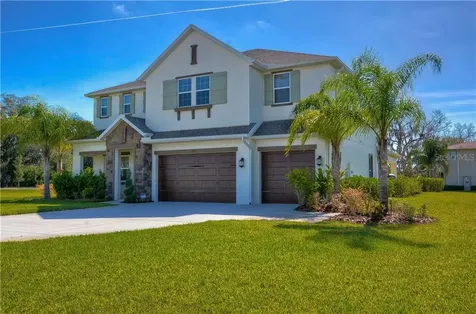 17704 Daisy Farm Drive Lutz FL 33559