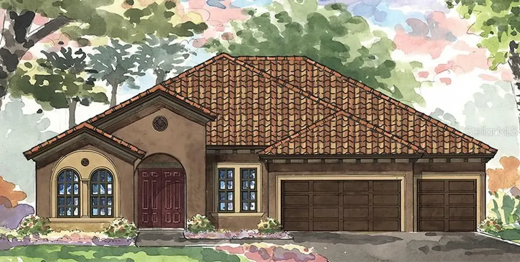 11968 Climbing Fern Avenue Riverview FL 33579