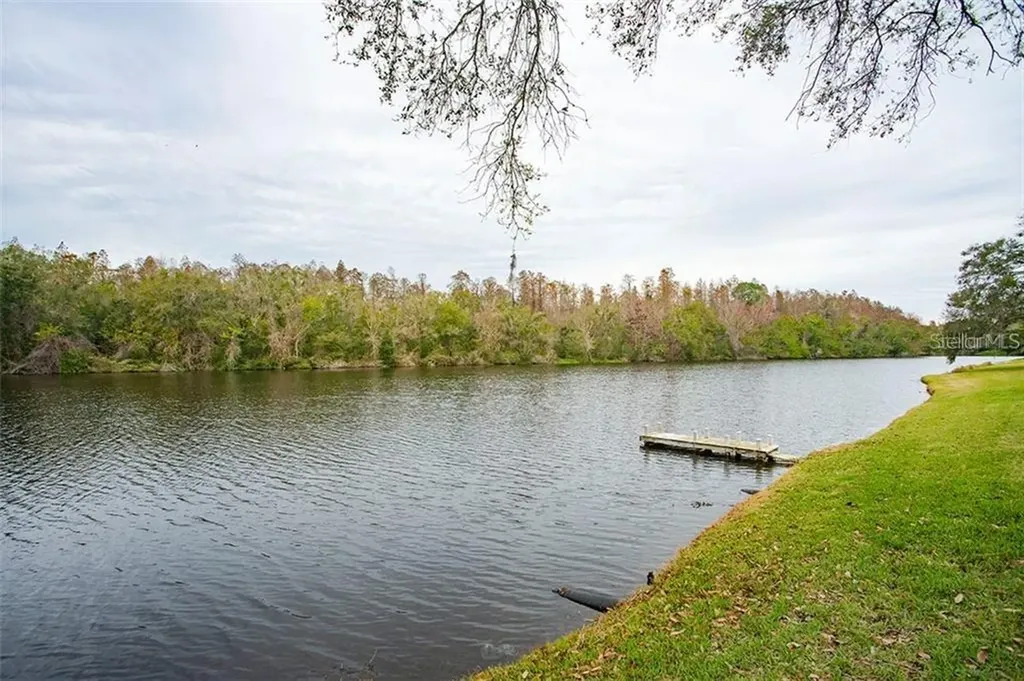 14029 Wolcott Drive Tampa FL 33624