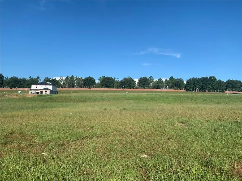 2003 Sloans Outlook Drive Groveland FL 34736