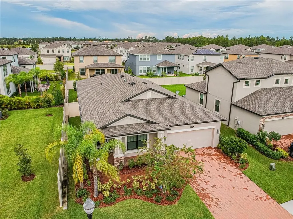 1144 Lorapetalum Lane Lutz FL 33558